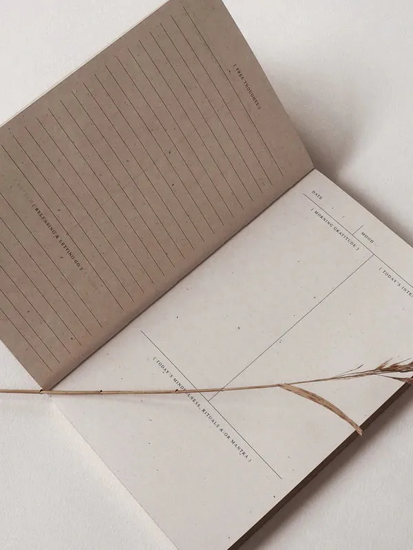 THE DAILY RITUAL JOURNAL  {ECO}
